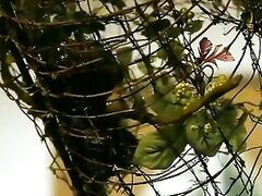 drunk girl experiences a brutal and violent rape in an amateur homemade porn movie.